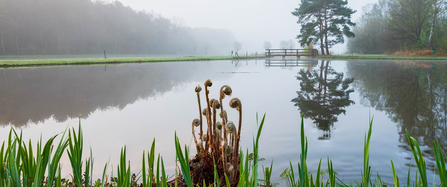 Resterheide