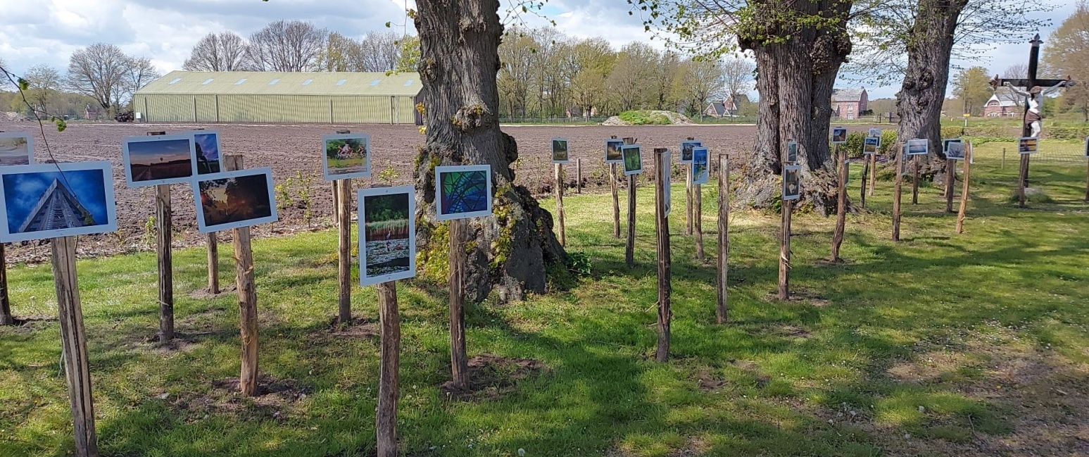 Openluchttentoonstelling Bosland in Beeld