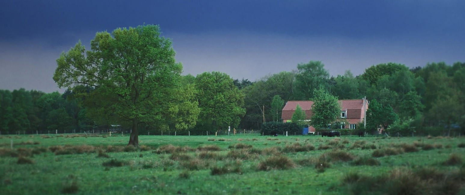 Katershoeve - Fotografie Theo Geuens