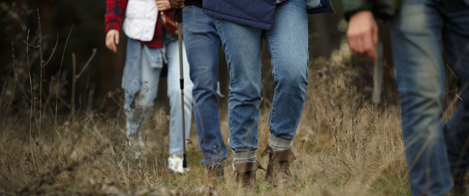 Klimaatwandeling Week van het Bos