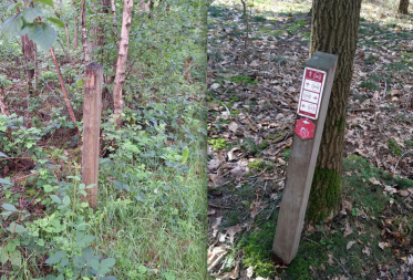 Nationaal Park Bosland wordt geplaagd door vandalisme: "Palen uit de grond getrokken en plaatjes verwijderd"