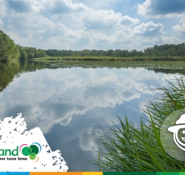 Op stap in Bosland - Uitwaaien op de Resterheide