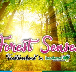 Welkom op Forest Senses in Bosland